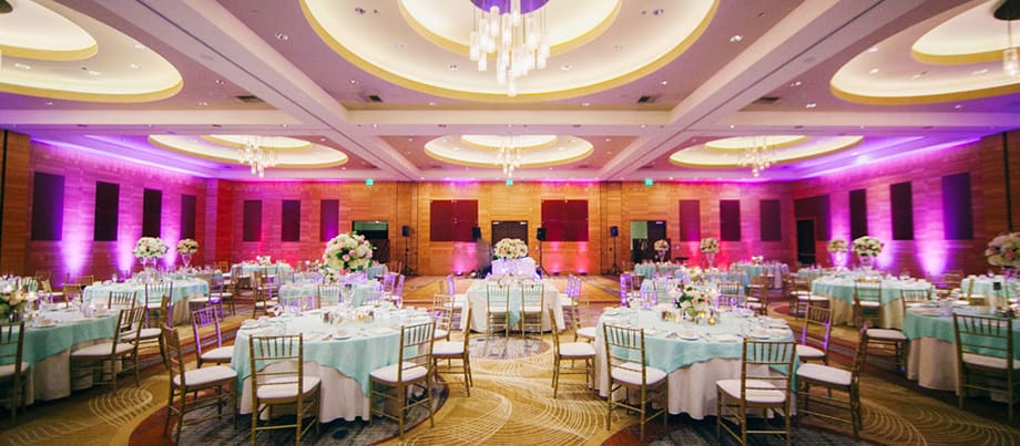 HyattOlive8_SEB21_07_header.jpg
