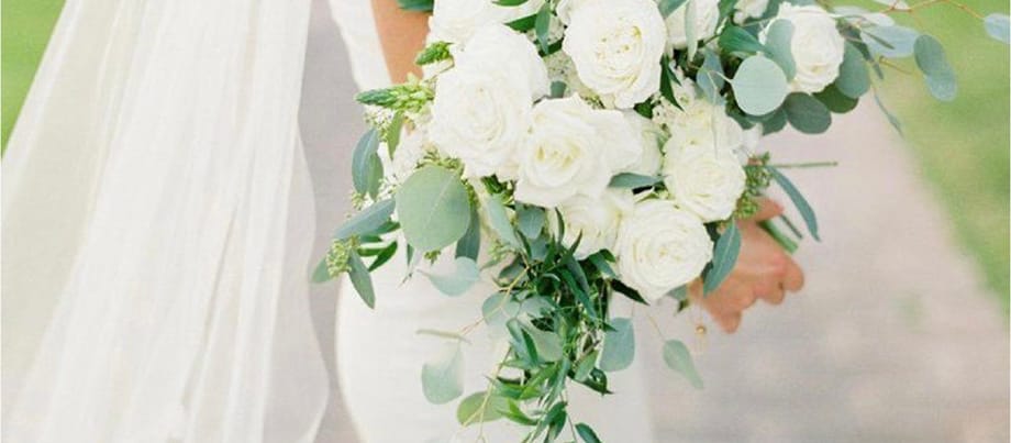 PetalsBeans_MNB22_03_header.jpg