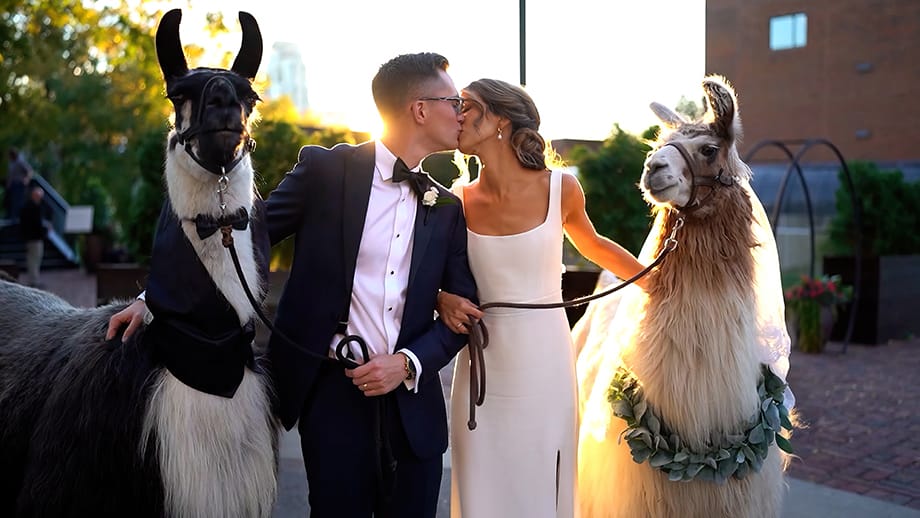 field/sandboxmnbridecom239elwb01blackmeshcom/2023/image/petersonmnbfv2303.jpg