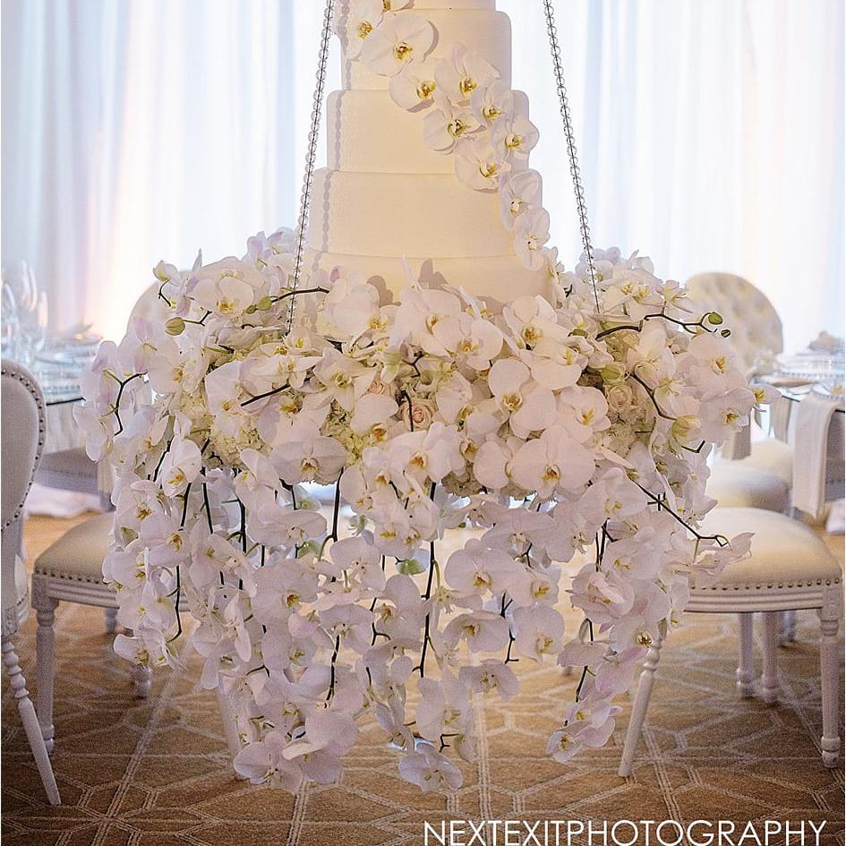 field/sandboxcaliforniaweddingdaycom239elwb01blackmeshcom/image/2017-12-16_0007.jpg