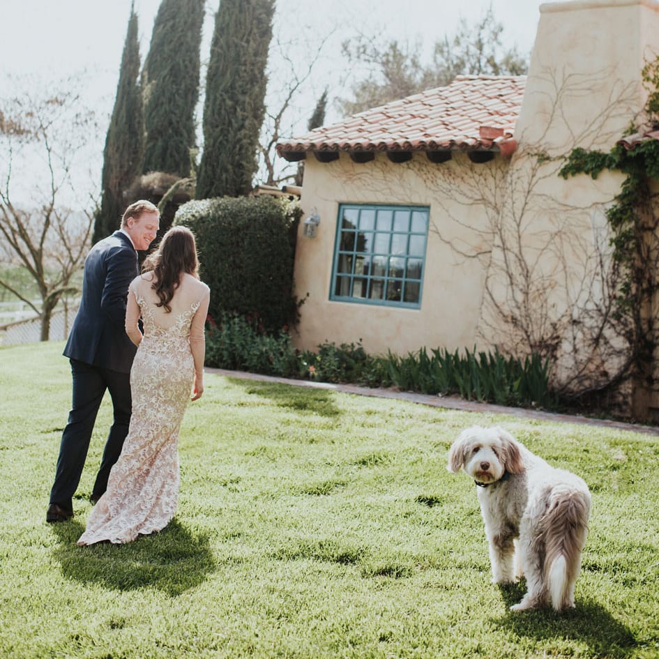field/sandbox_californiaweddingday_com_239elwb01_blackmesh_com/2019/image/166a.jpg