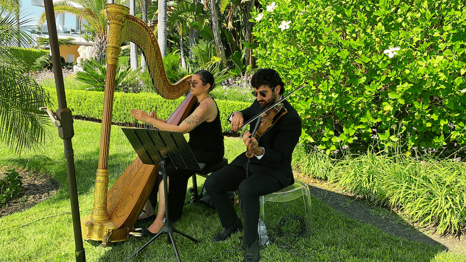 2026-09/Gracie_Harp_Violin.png
